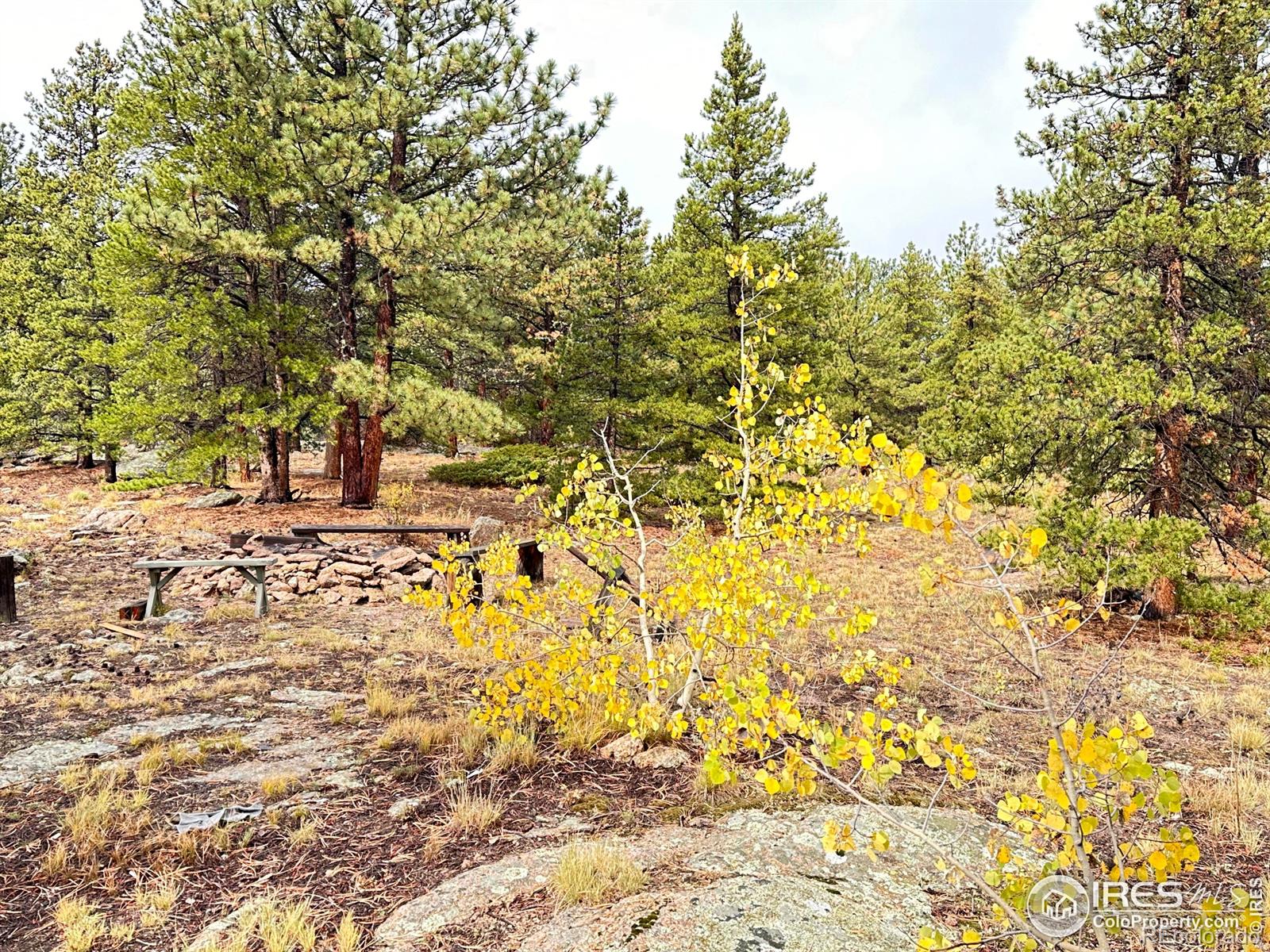 11650 Peak to Peak Highway, Allenspark, CO 80510, 2 Bedrooms Bedrooms, ,1 BathroomBathrooms,Residential,For Sale,Peak to Peak Highway,RECIR1014145