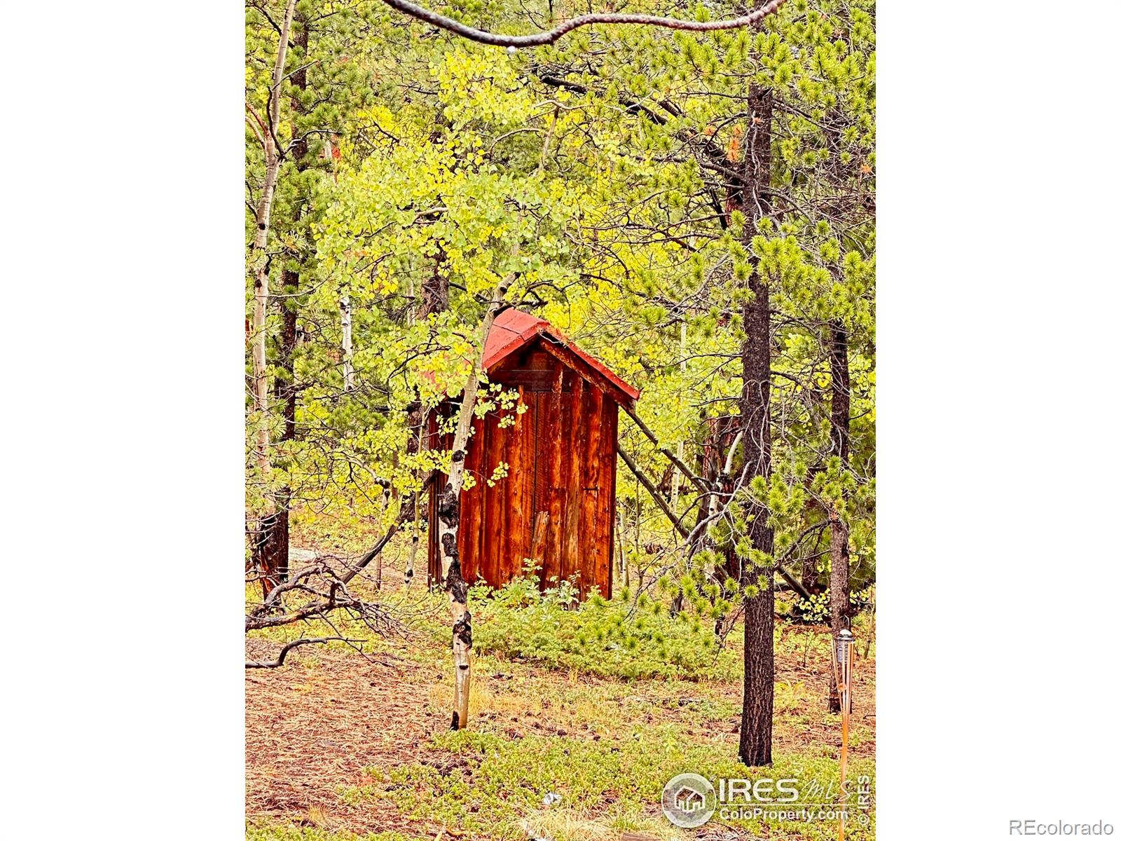 11650 Peak to Peak Highway, Allenspark, CO 80510, 2 Bedrooms Bedrooms, ,1 BathroomBathrooms,Residential,For Sale,Peak to Peak Highway,RECIR1014145