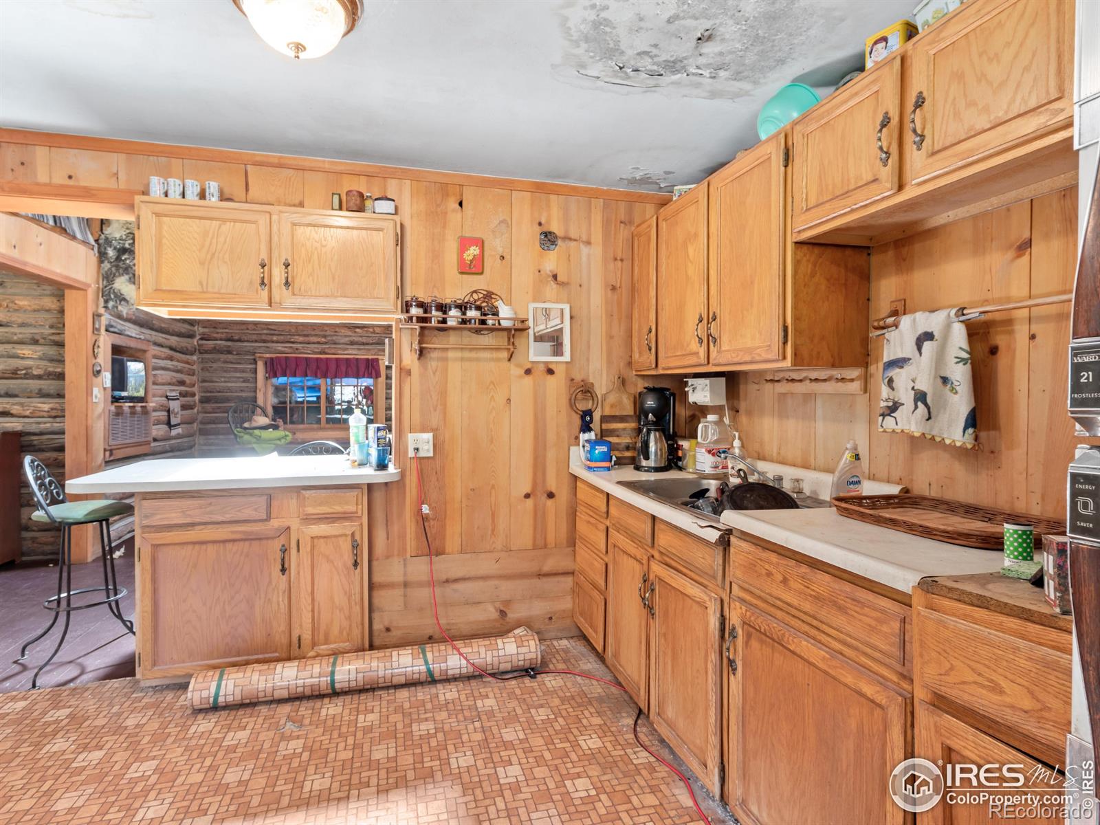 11650 Peak to Peak Highway, Allenspark, CO 80510, 2 Bedrooms Bedrooms, ,1 BathroomBathrooms,Residential,For Sale,Peak to Peak Highway,RECIR1014145