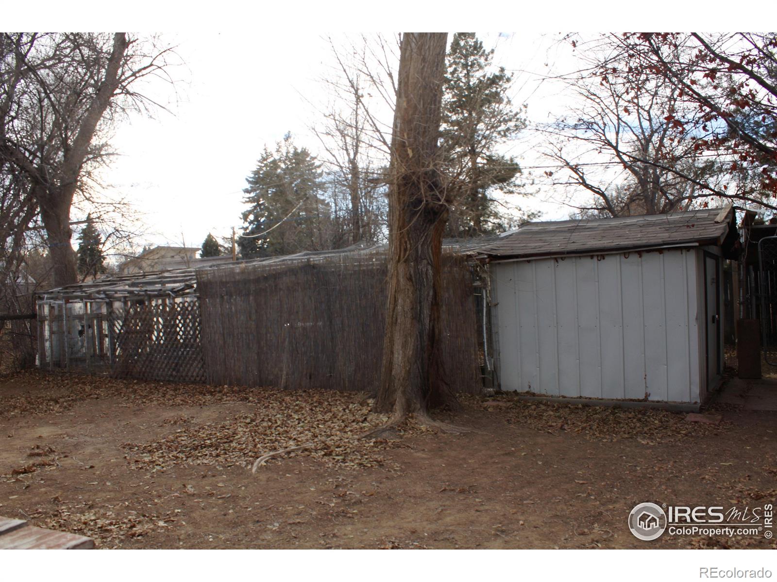 347 Shields Street, Fort Collins, CO 80521, 2 Bedrooms Bedrooms, ,2 BathroomsBathrooms,Residential,For Sale,Shields,RECIR1023364