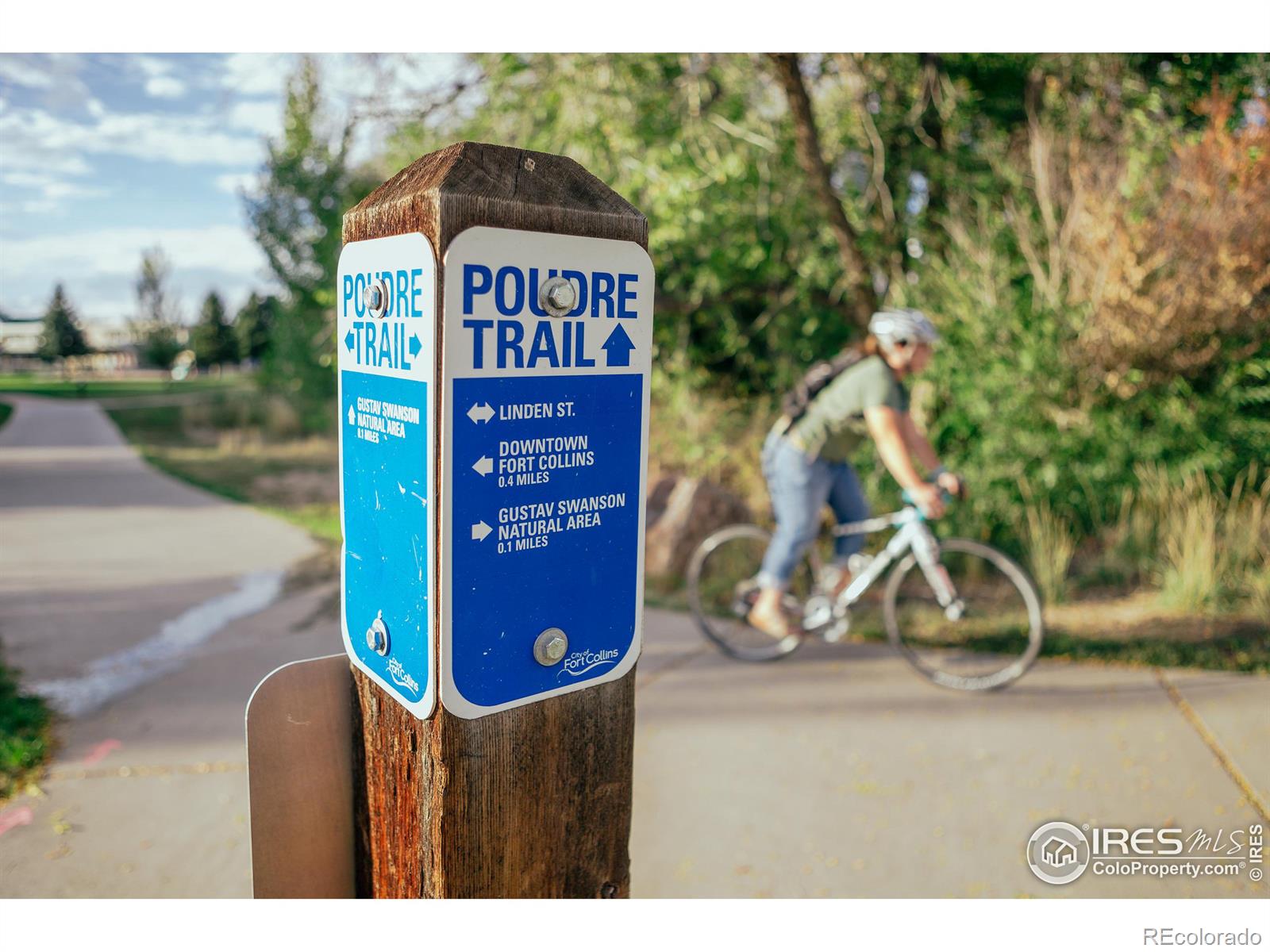 225 3rd Street, Fort Collins, CO 80524, ,Land,For Sale,3rd,RECIR1023329