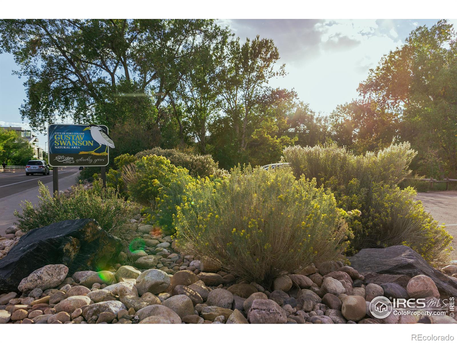 225 3rd Street, Fort Collins, CO 80524, ,Land,For Sale,3rd,RECIR1023329