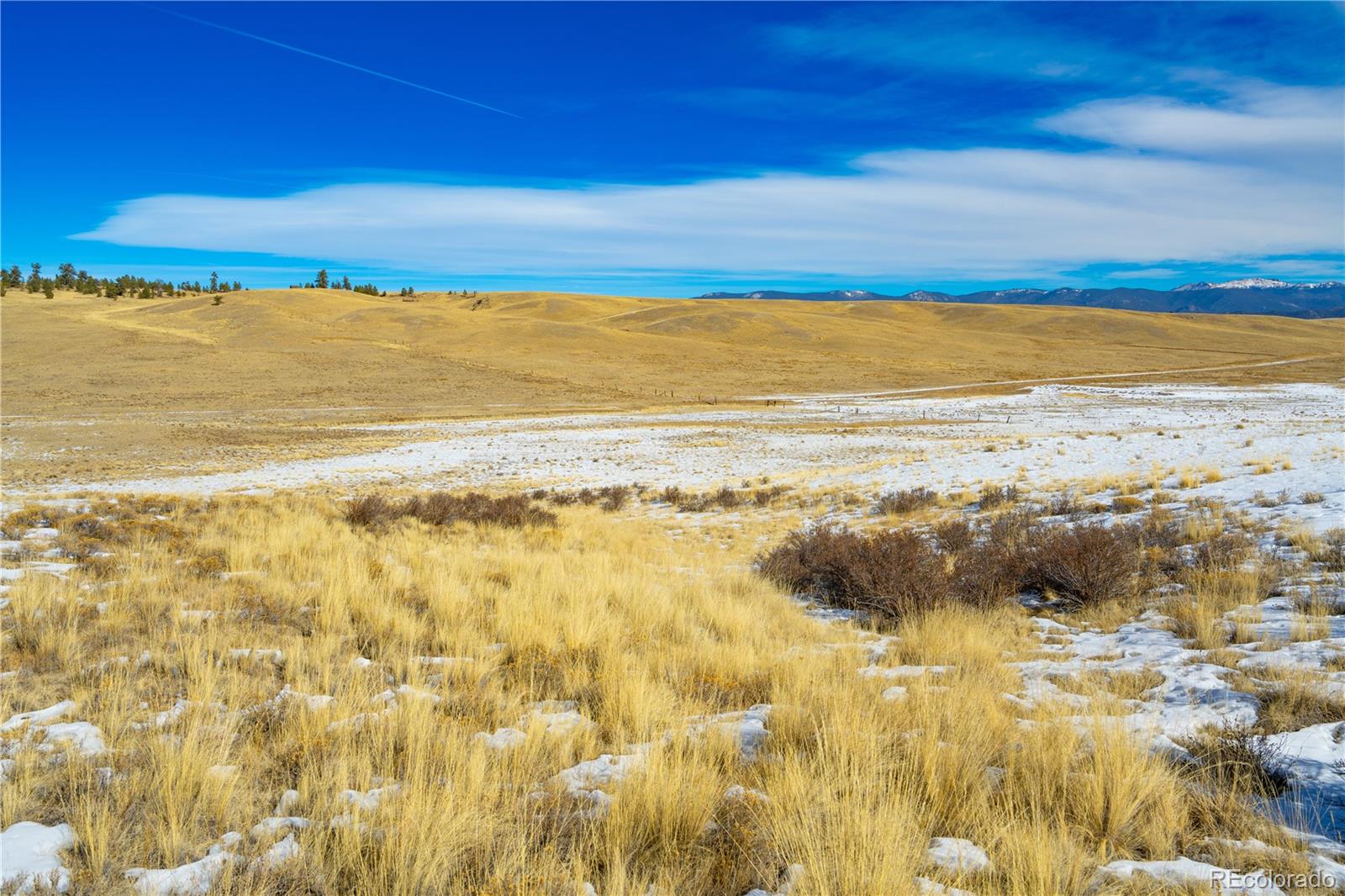 401 Ramrod Path, Jefferson, CO 80456, ,Land,For Sale,Ramrod,REC2574995