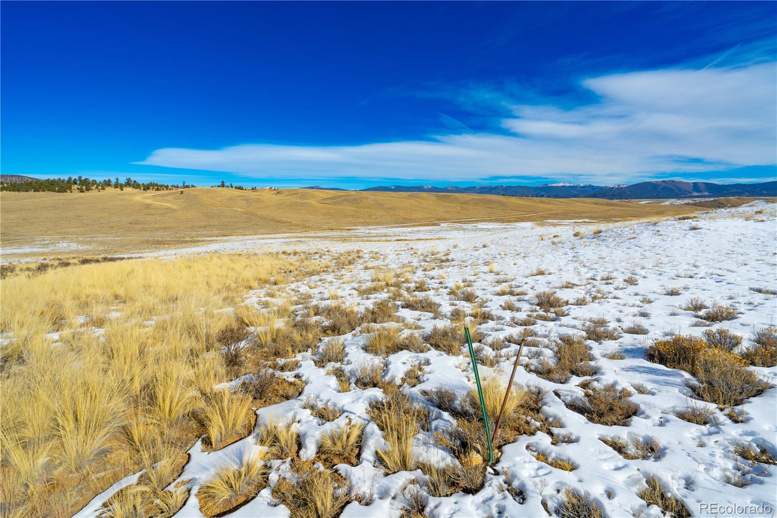 401 Ramrod Path, Jefferson, CO 80456, ,Land,For Sale,Ramrod,REC2574995