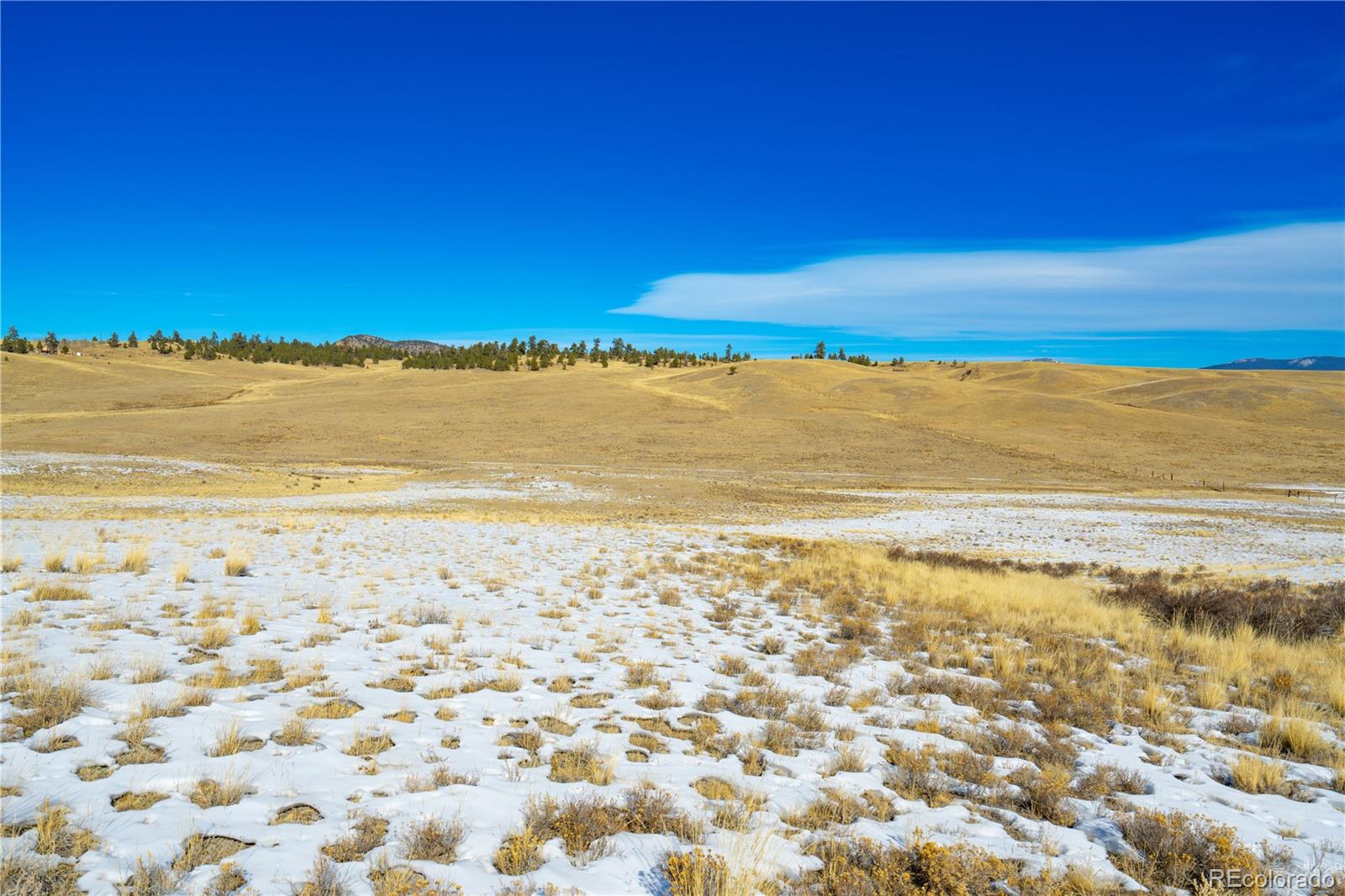 401 Ramrod Path, Jefferson, CO 80456, ,Land,For Sale,Ramrod,REC2574995