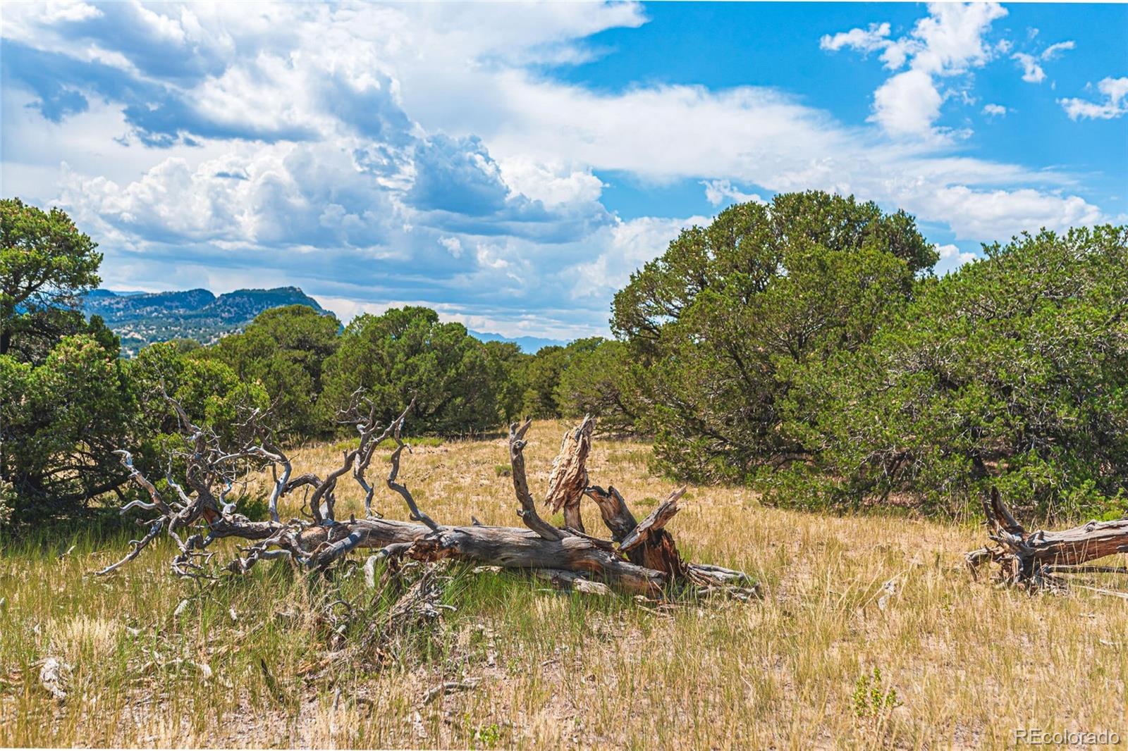 County Rd. 521, Walsenburg, CO 81089, ,Land,For Sale,County Rd. 521,REC9165669