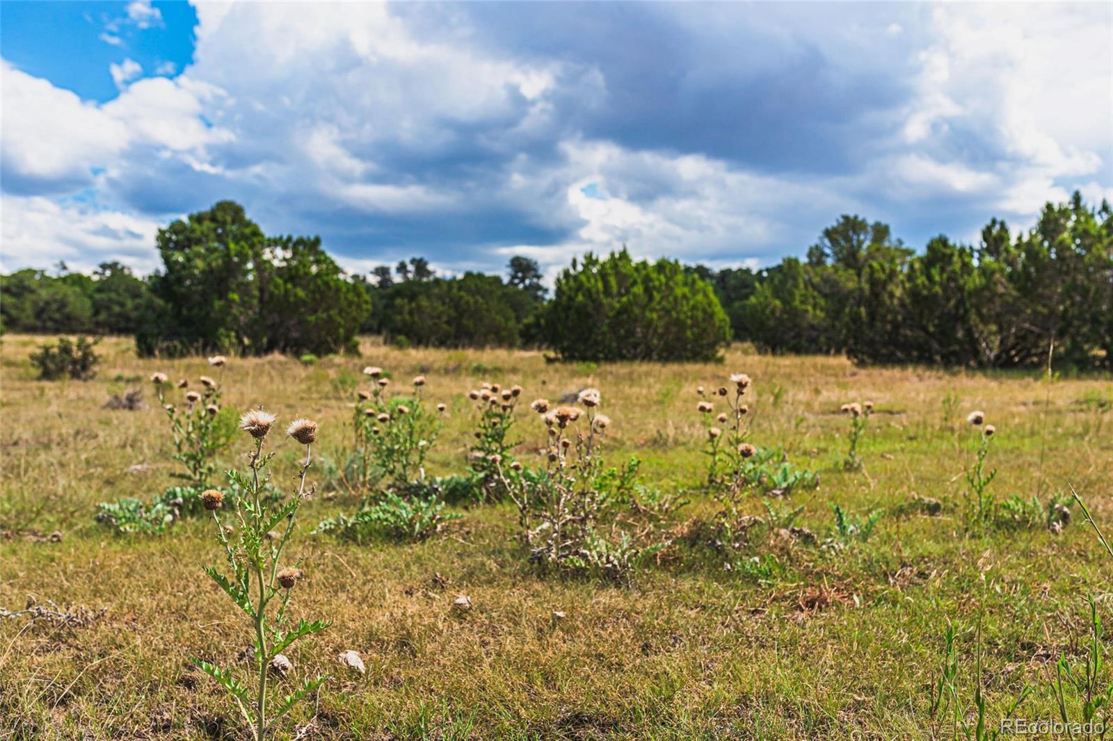 County Rd. 521, Walsenburg, CO 81089, ,Land,For Sale,County Rd. 521,REC9165669