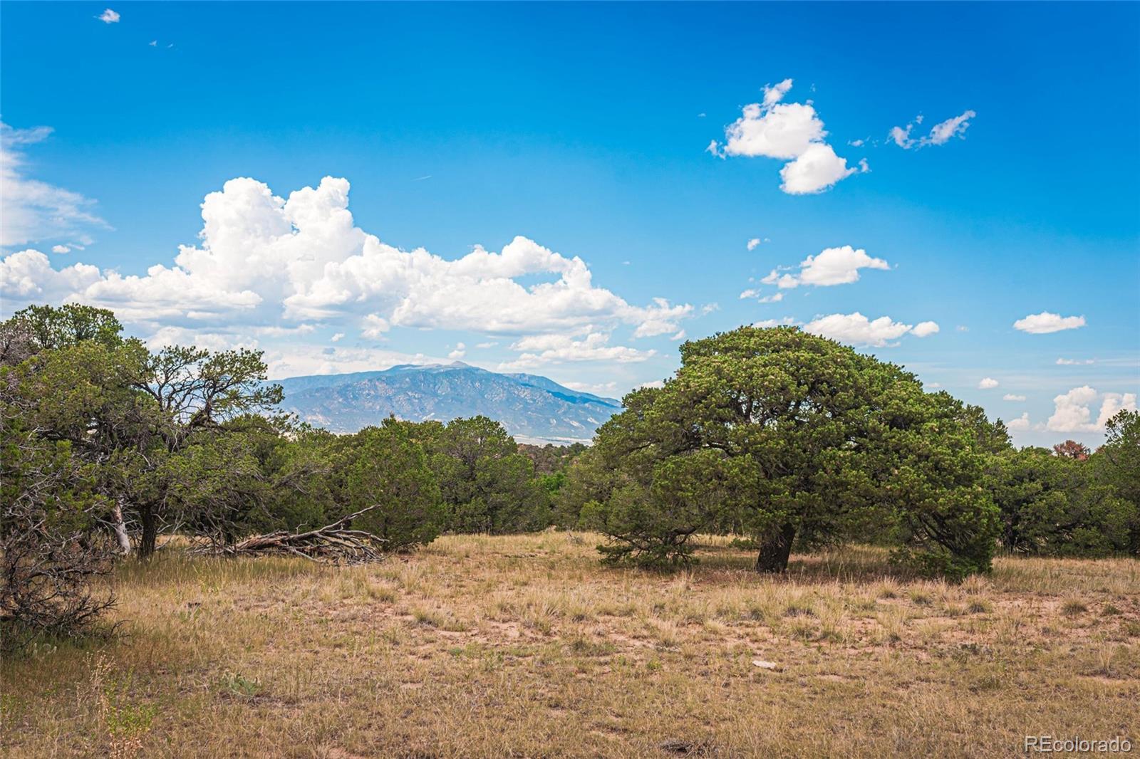 County Rd. 521, Walsenburg, CO 81089, ,Land,For Sale,County Rd. 521,REC9165669