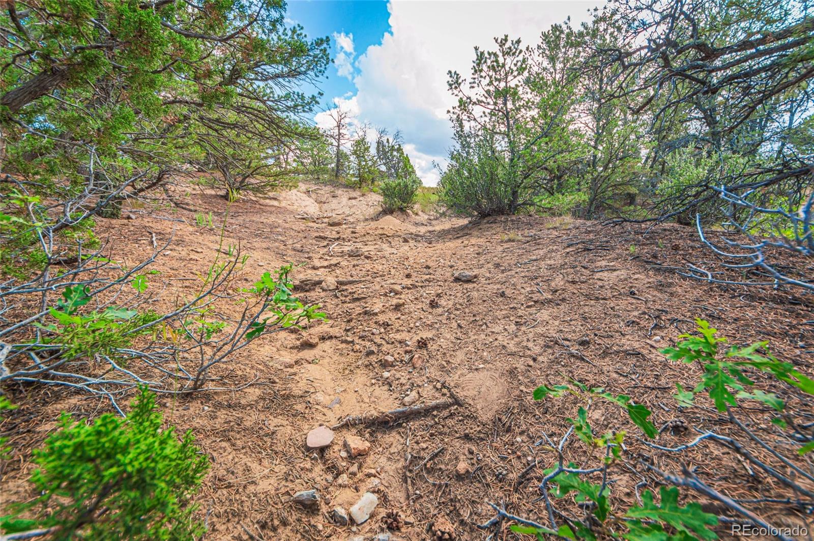 County Rd. 521, Walsenburg, CO 81089, ,Land,For Sale,County Rd. 521,REC9165669