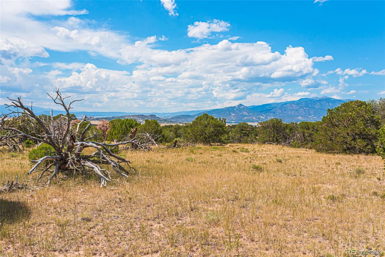 County Rd. 521, Walsenburg, CO 81089, ,Land,For Sale,County Rd. 521,REC9165669