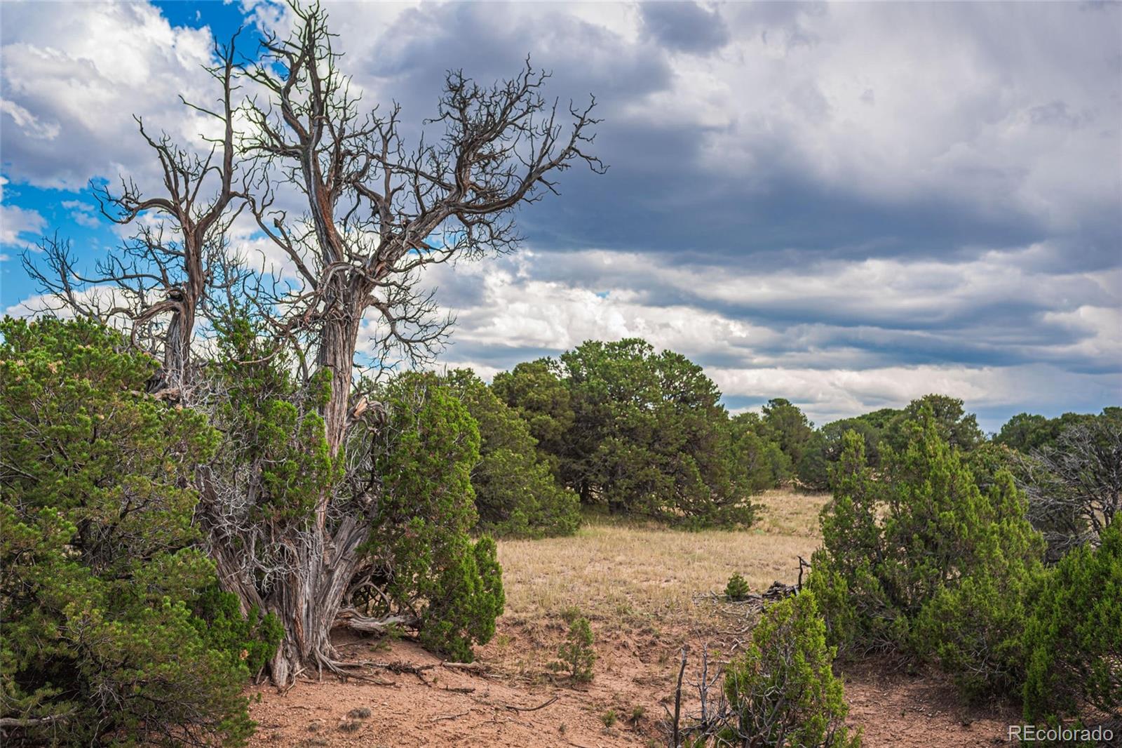 County Rd. 521, Walsenburg, CO 81089, ,Land,For Sale,County Rd. 521,REC9165669