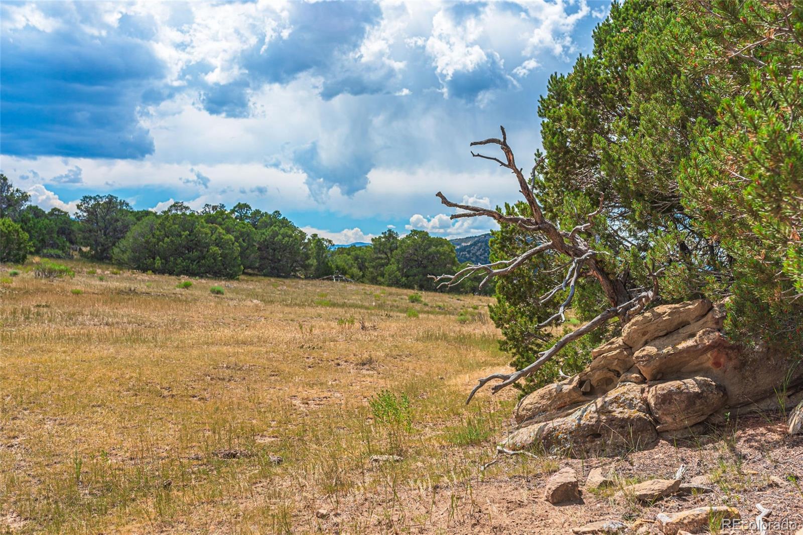 County Rd. 521, Walsenburg, CO 81089, ,Land,For Sale,County Rd. 521,REC9165669