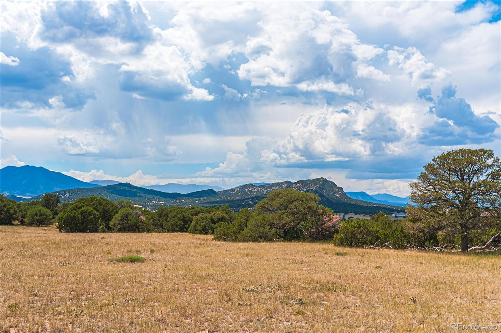 County Rd. 521, Walsenburg, CO 81089, ,Land,For Sale,County Rd. 521,REC9165669