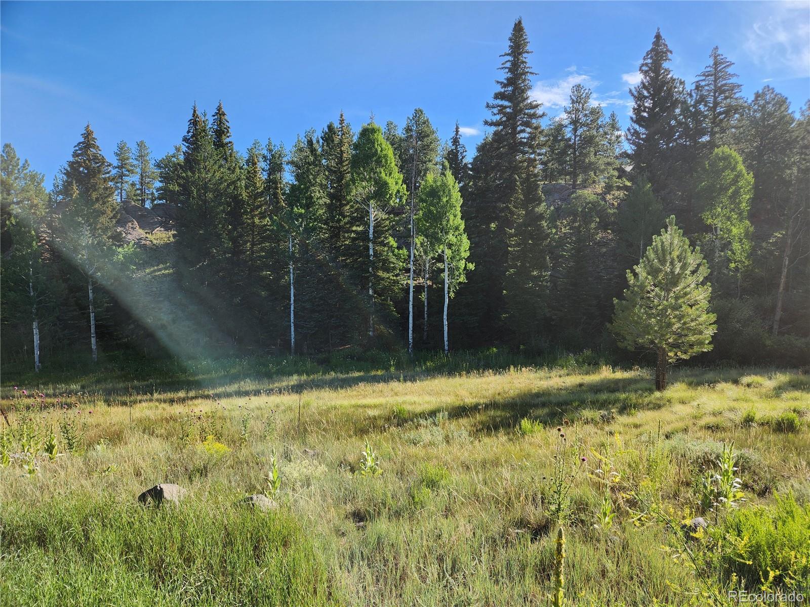274 Church Creek, South Fork, CO 81154, ,Land,For Sale,Church Creek,REC2633957