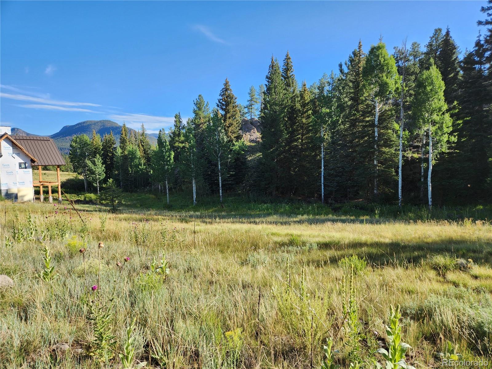 274 Church Creek, South Fork, CO 81154, ,Land,For Sale,Church Creek,REC2633957