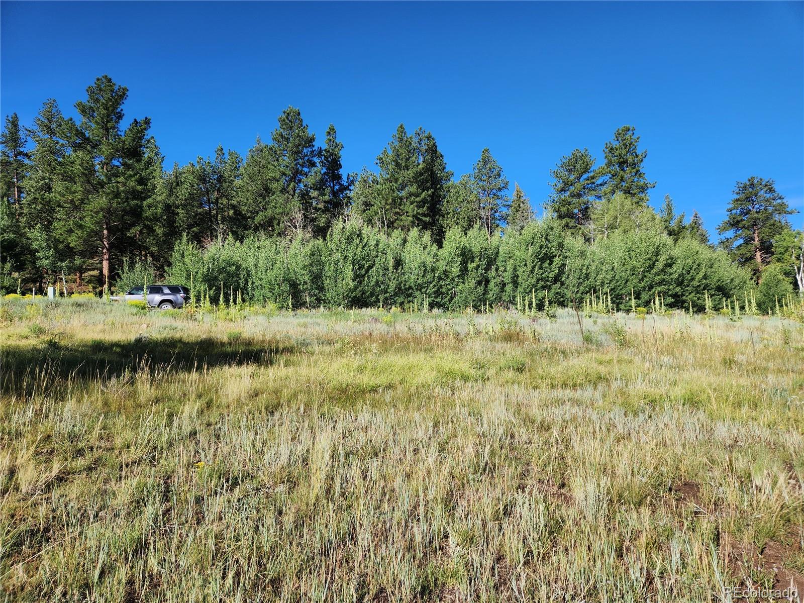274 Church Creek, South Fork, CO 81154, ,Land,For Sale,Church Creek,REC2633957