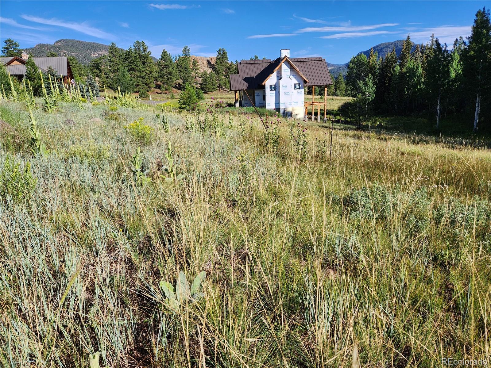 274 Church Creek, South Fork, CO 81154, ,Land,For Sale,Church Creek,REC2633957