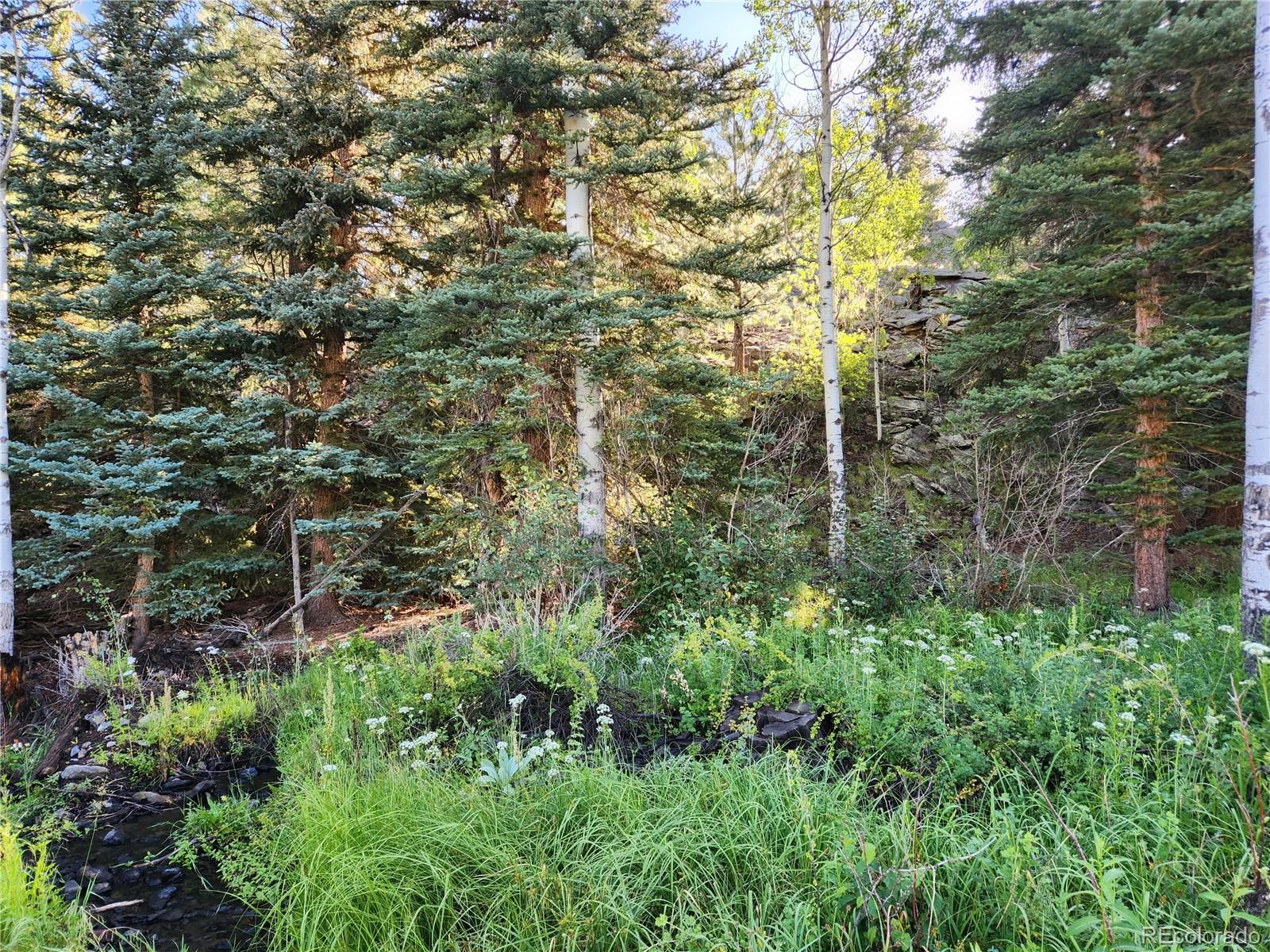 274 Church Creek, South Fork, CO 81154, ,Land,For Sale,Church Creek,REC2633957