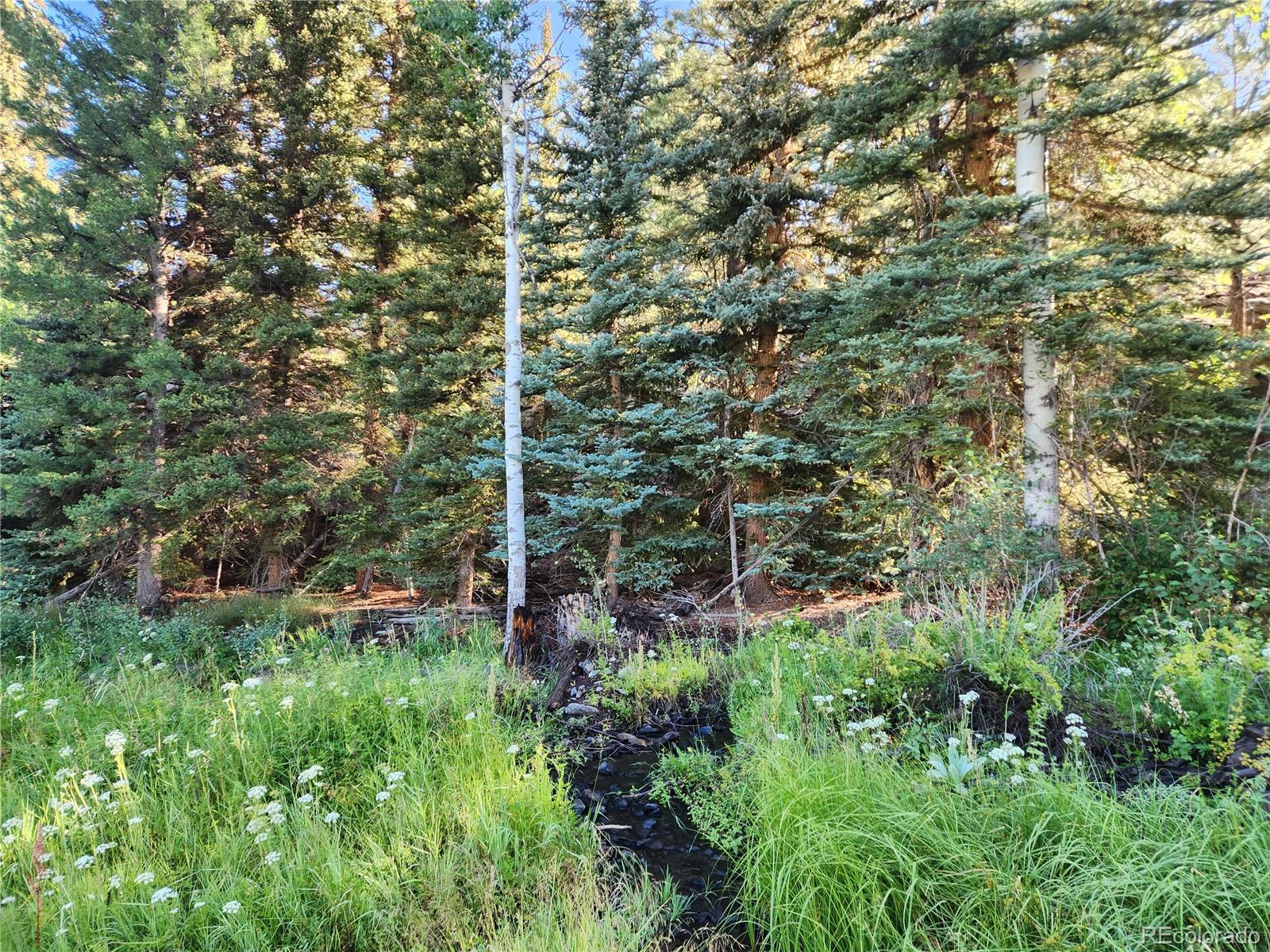 274 Church Creek, South Fork, CO 81154, ,Land,For Sale,Church Creek,REC2633957