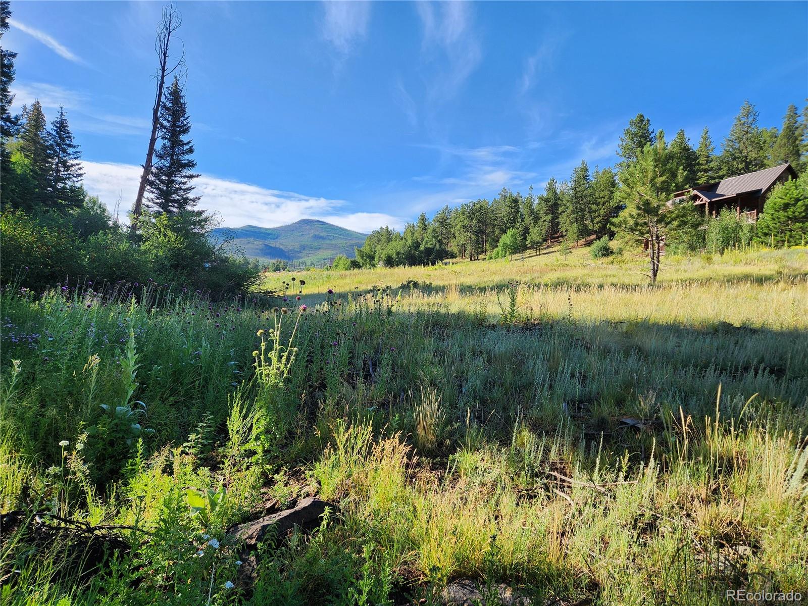 274 Church Creek, South Fork, CO 81154, ,Land,For Sale,Church Creek,REC2633957