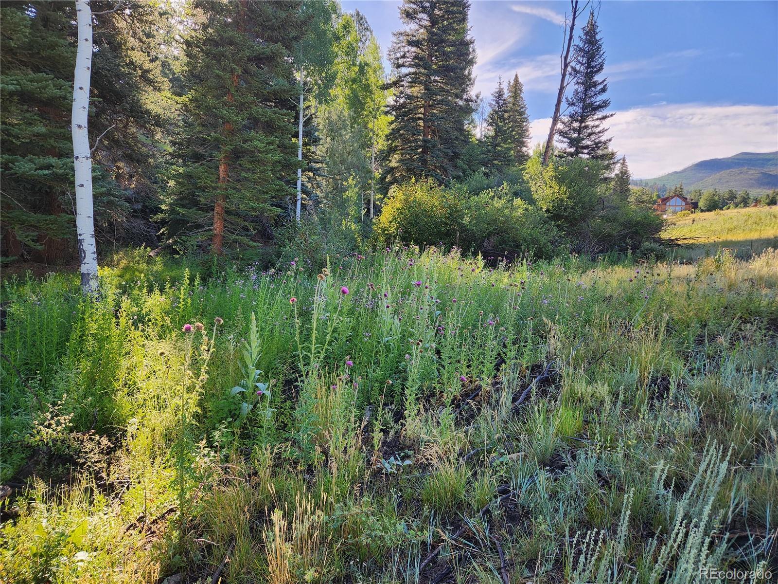 274 Church Creek, South Fork, CO 81154, ,Land,For Sale,Church Creek,REC2633957