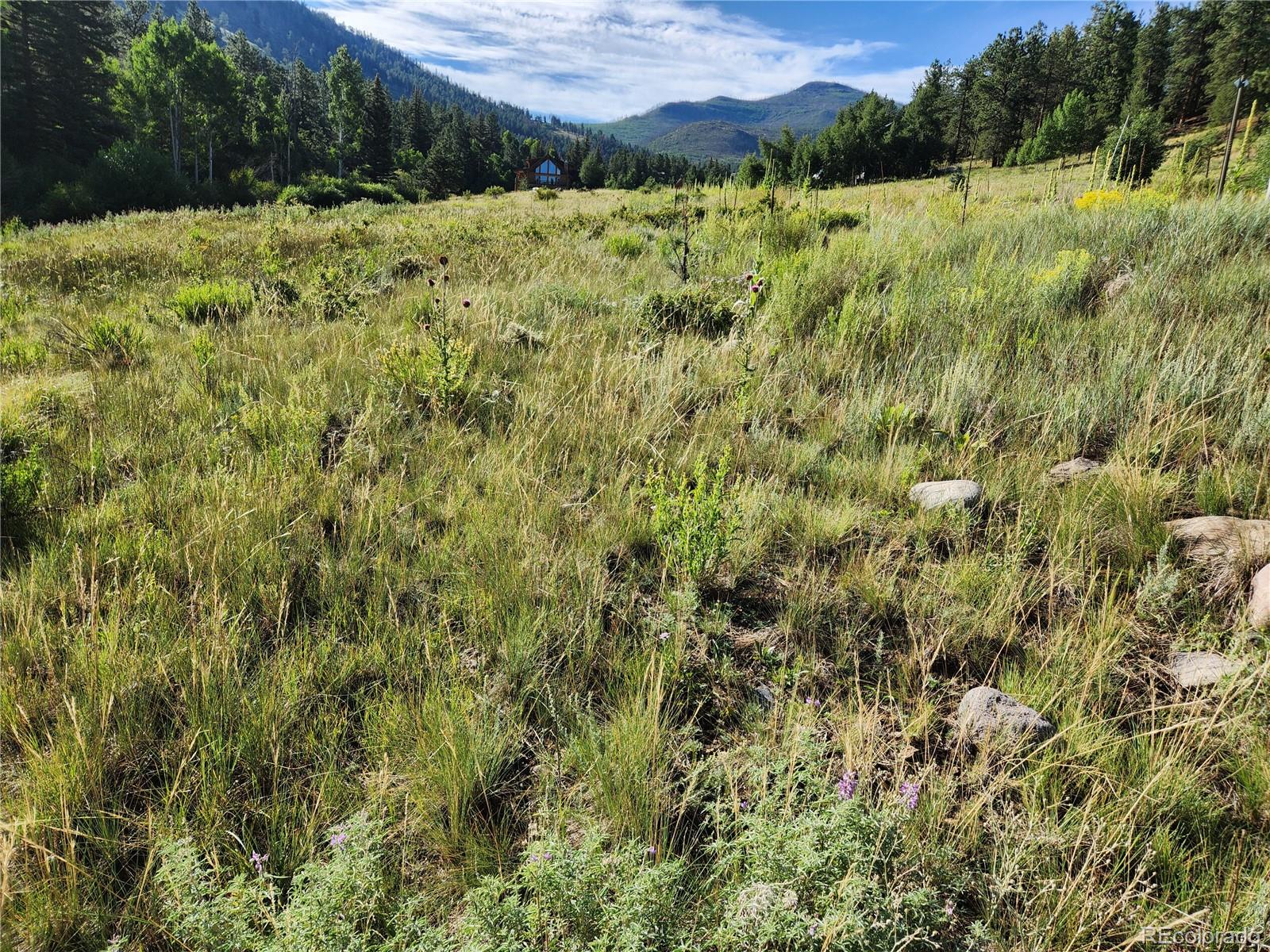 274 Church Creek, South Fork, CO 81154, ,Land,For Sale,Church Creek,REC2633957