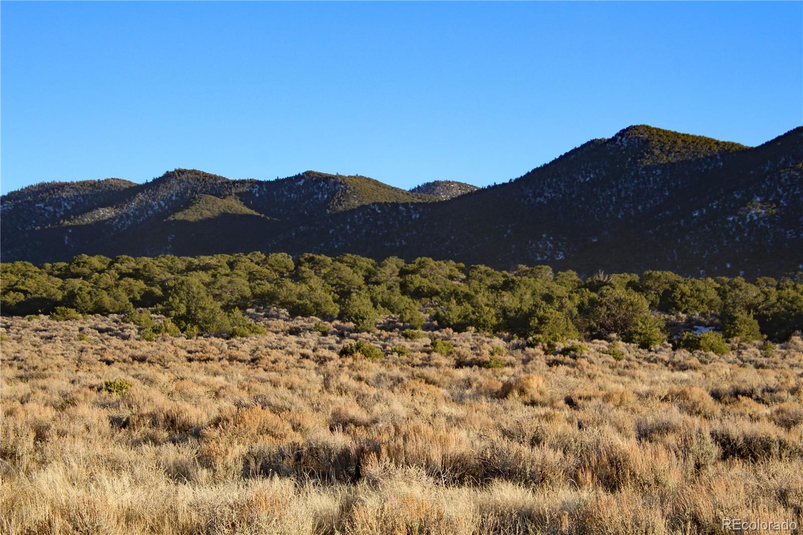 Lot 1181 Pfotenhauer, Fort Garland, CO 81133, ,Land,For Sale,Pfotenhauer,REC6742025