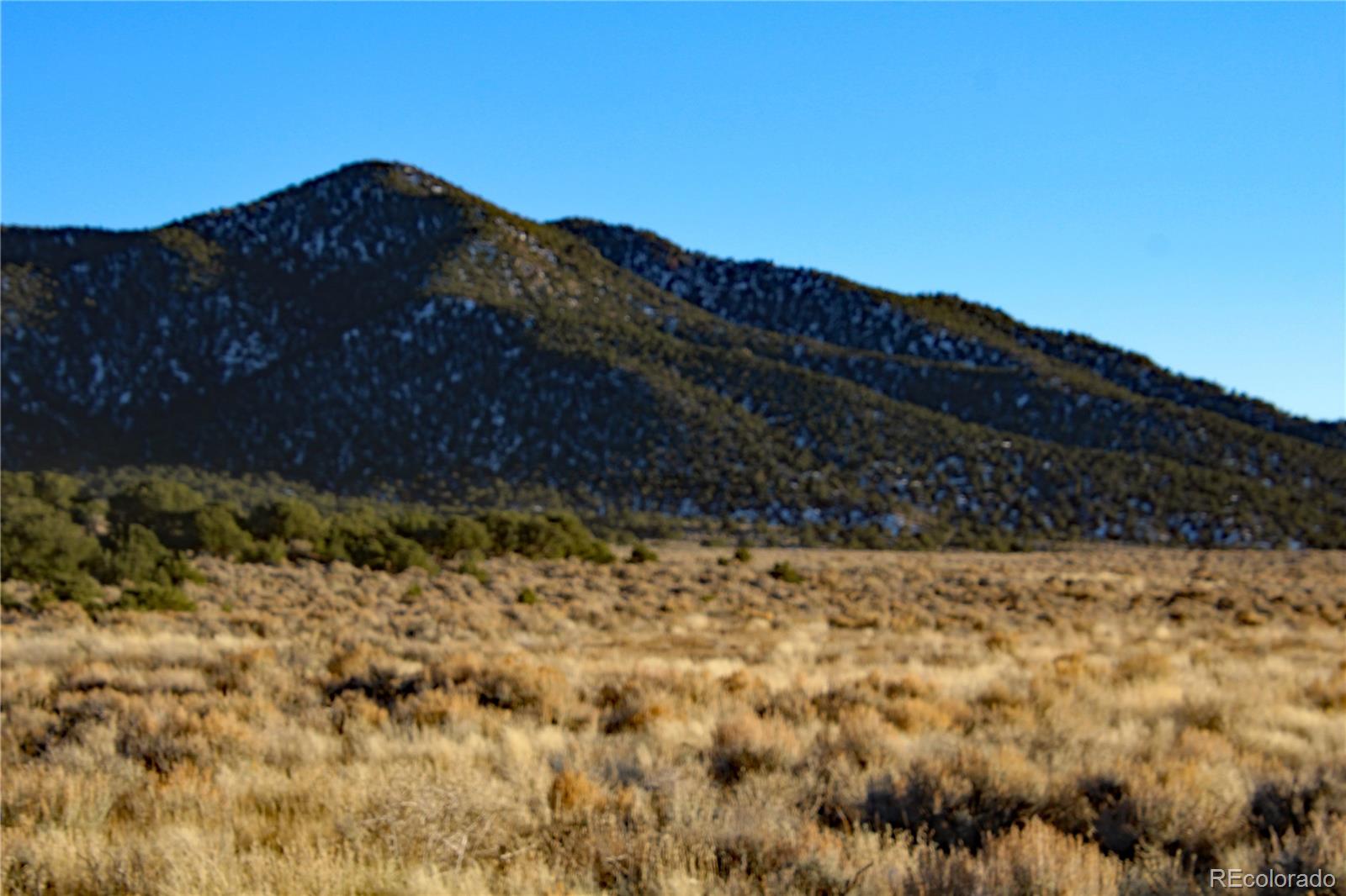 Lot 1181 Pfotenhauer, Fort Garland, CO 81133, ,Land,For Sale,Pfotenhauer,REC6742025