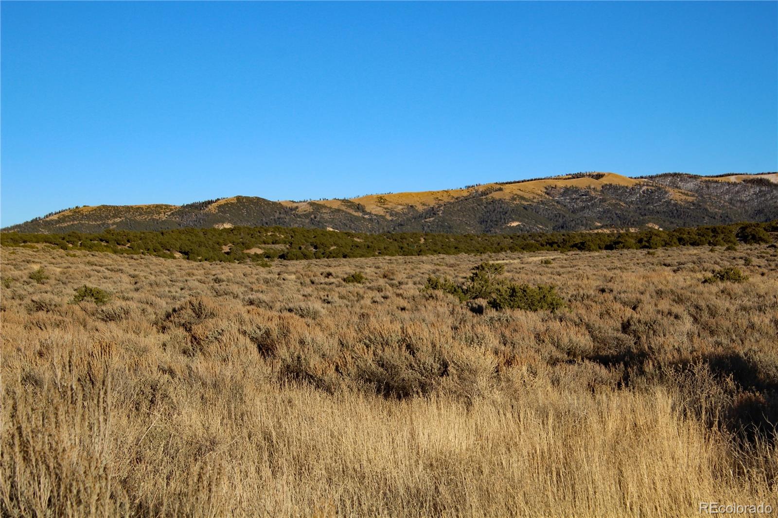 Lot 1181 Pfotenhauer, Fort Garland, CO 81133, ,Land,For Sale,Pfotenhauer,REC6742025