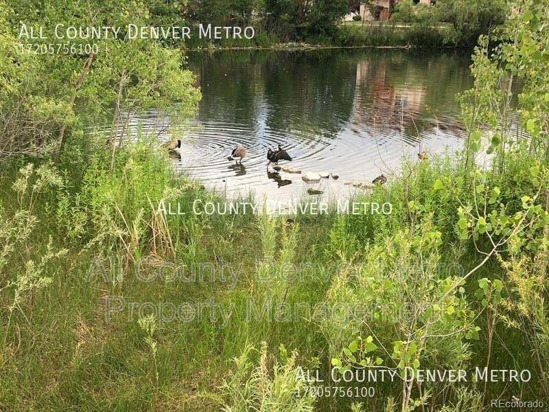 5014 Everett Street #202, Arvada, CO 80002, 2 Bedrooms Bedrooms, ,3 BathroomsBathrooms,Rental,For Rent,Everett,REC5516217