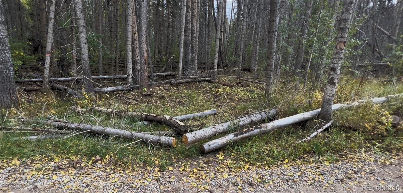 3388 Elicker Drive, Fort Garland, CO 81133, ,Land,For Sale,Elicker,REC2826310