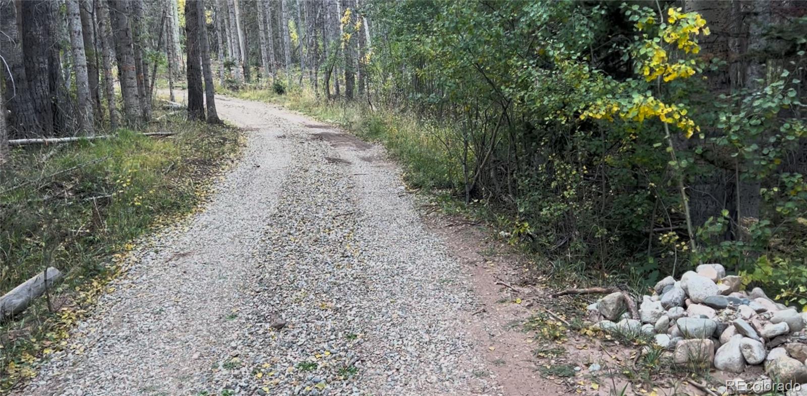3388 Elicker Drive, Fort Garland, CO 81133, ,Land,For Sale,Elicker,REC2826310