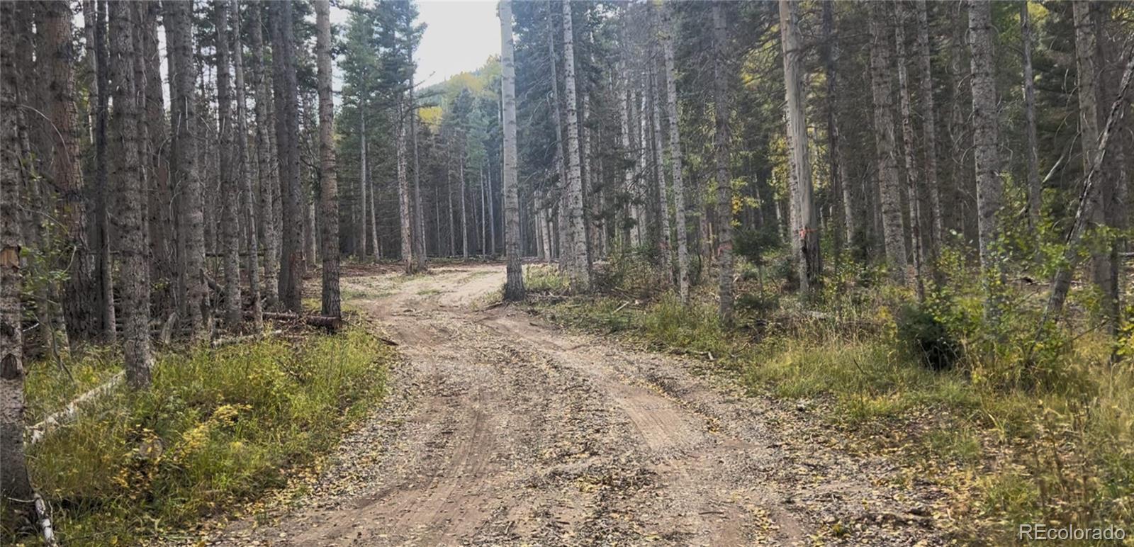 3388 Elicker Drive, Fort Garland, CO 81133, ,Land,For Sale,Elicker,REC2826310
