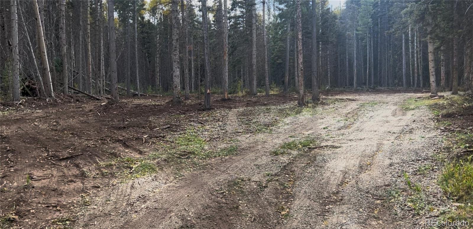 3388 Elicker Drive, Fort Garland, CO 81133, ,Land,For Sale,Elicker,REC2826310