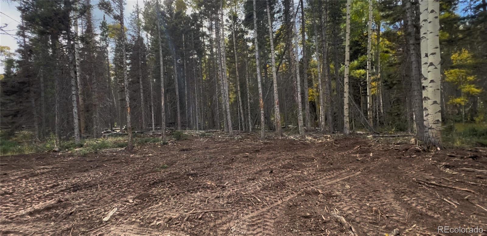 3388 Elicker Drive, Fort Garland, CO 81133, ,Land,For Sale,Elicker,REC2826310