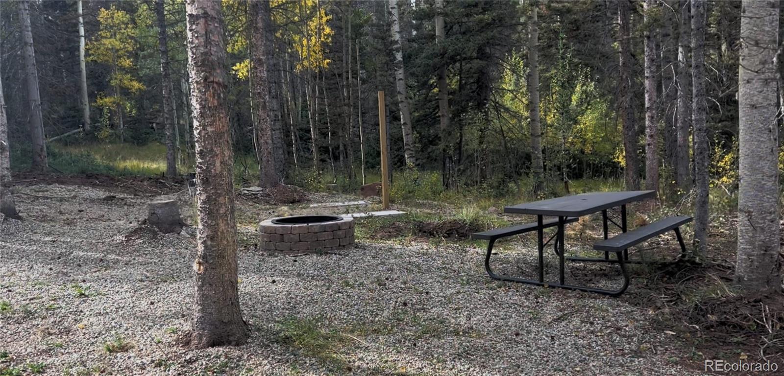 3388 Elicker Drive, Fort Garland, CO 81133, ,Land,For Sale,Elicker,REC2826310