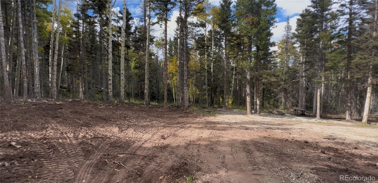 3388 Elicker Drive, Fort Garland, CO 81133, ,Land,For Sale,Elicker,REC2826310