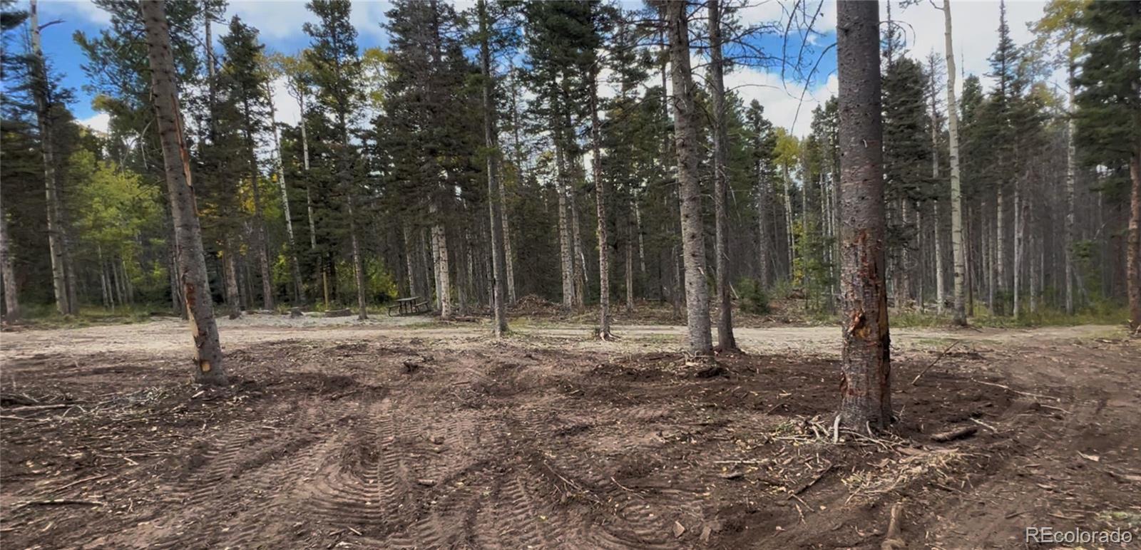 3388 Elicker Drive, Fort Garland, CO 81133, ,Land,For Sale,Elicker,REC2826310