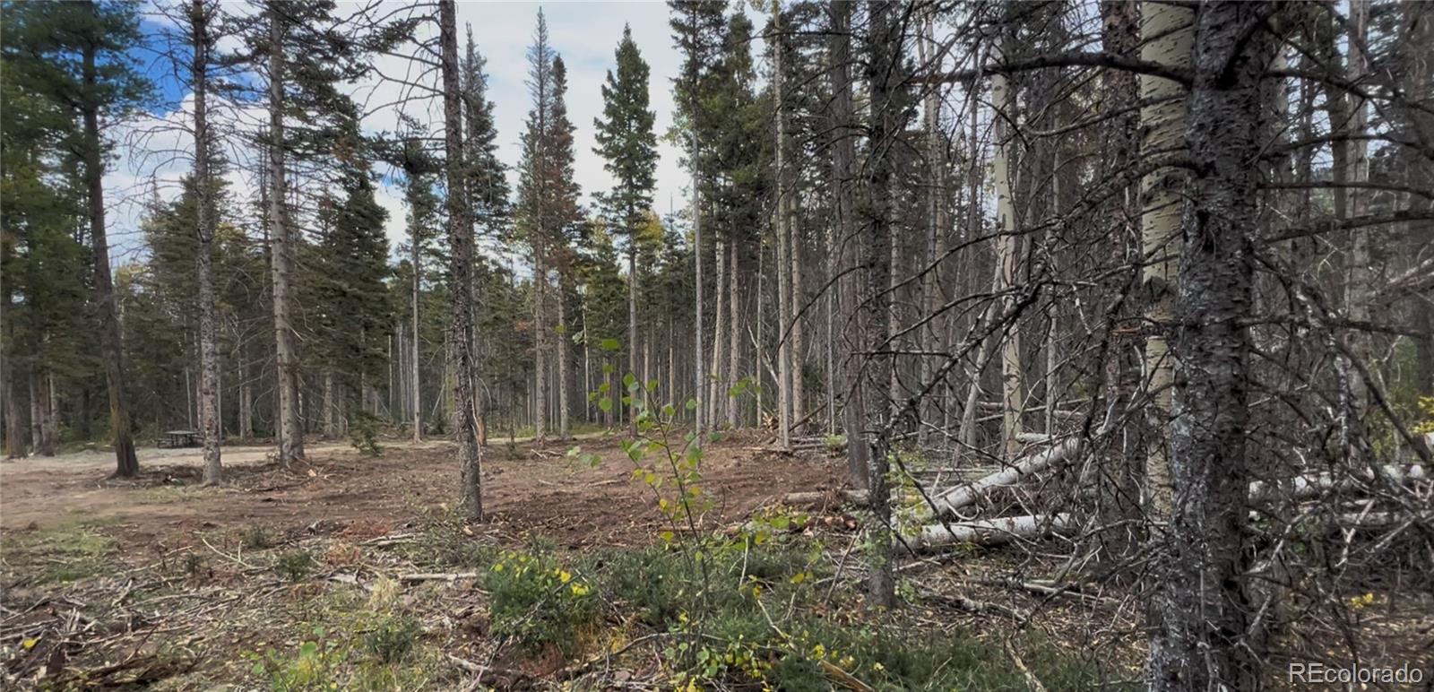 3388 Elicker Drive, Fort Garland, CO 81133, ,Land,For Sale,Elicker,REC2826310