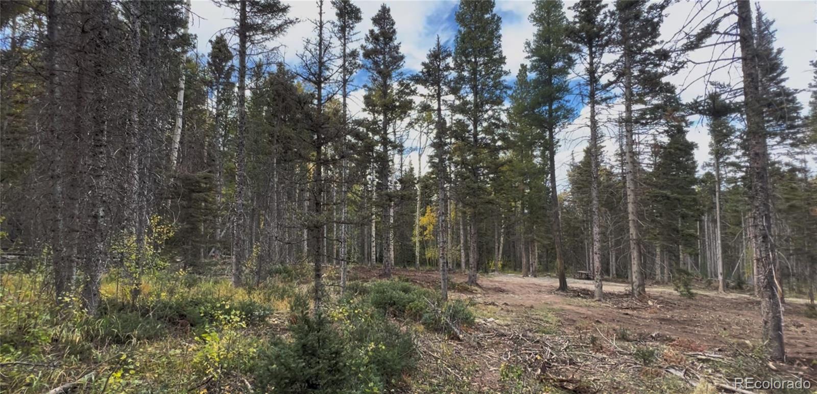 3388 Elicker Drive, Fort Garland, CO 81133, ,Land,For Sale,Elicker,REC2826310