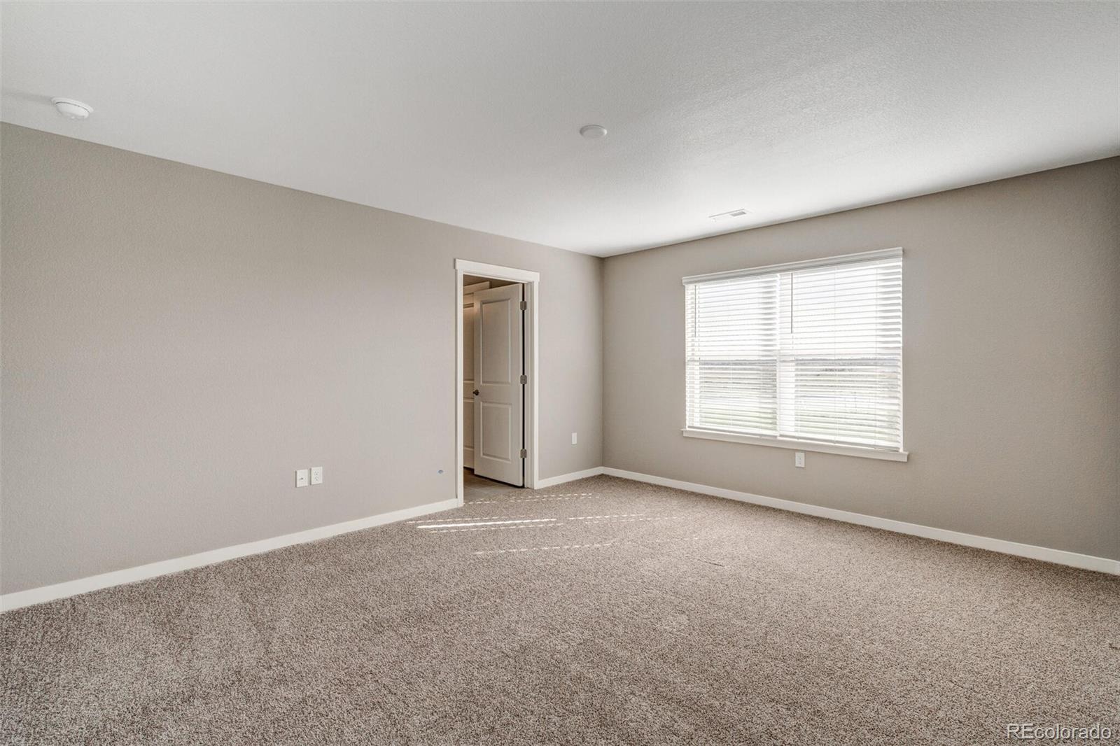 4205 Sandstone Drive, Mead, CO 80504, 5 Bedrooms Bedrooms, ,3 BathroomsBathrooms,Residential,For Sale,Sandstone,REC8069195