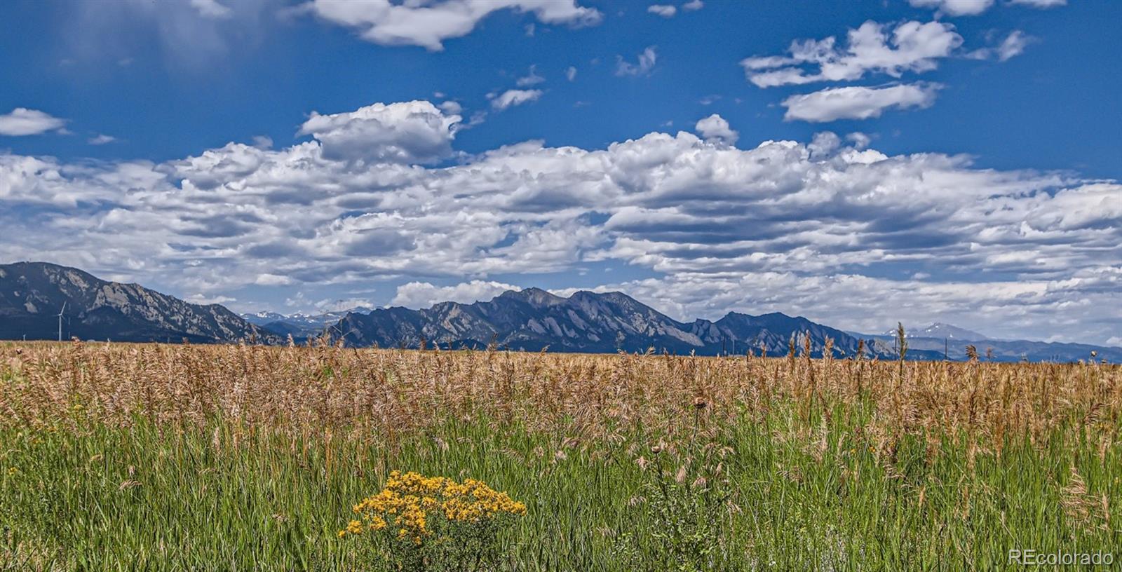 14585 91st Avenue #A, Arvada, CO 80005, 3 Bedrooms Bedrooms, ,3 BathroomsBathrooms,Residential,For Sale,91st,REC8475541