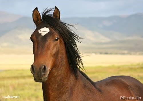 6132 Runninghorse, San Luis, CO 81152, ,Residential,For Sale,Runninghorse,REC1534105