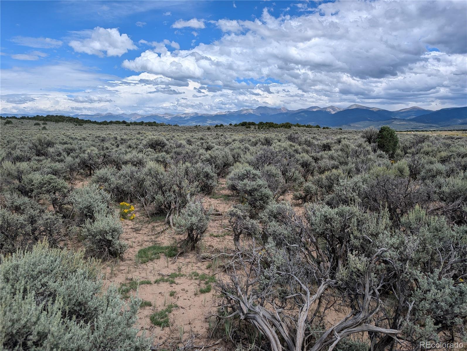Lot 18 Arroyo Road, San Luis, CO 81152, ,Land,For Sale,Arroyo,REC6339068