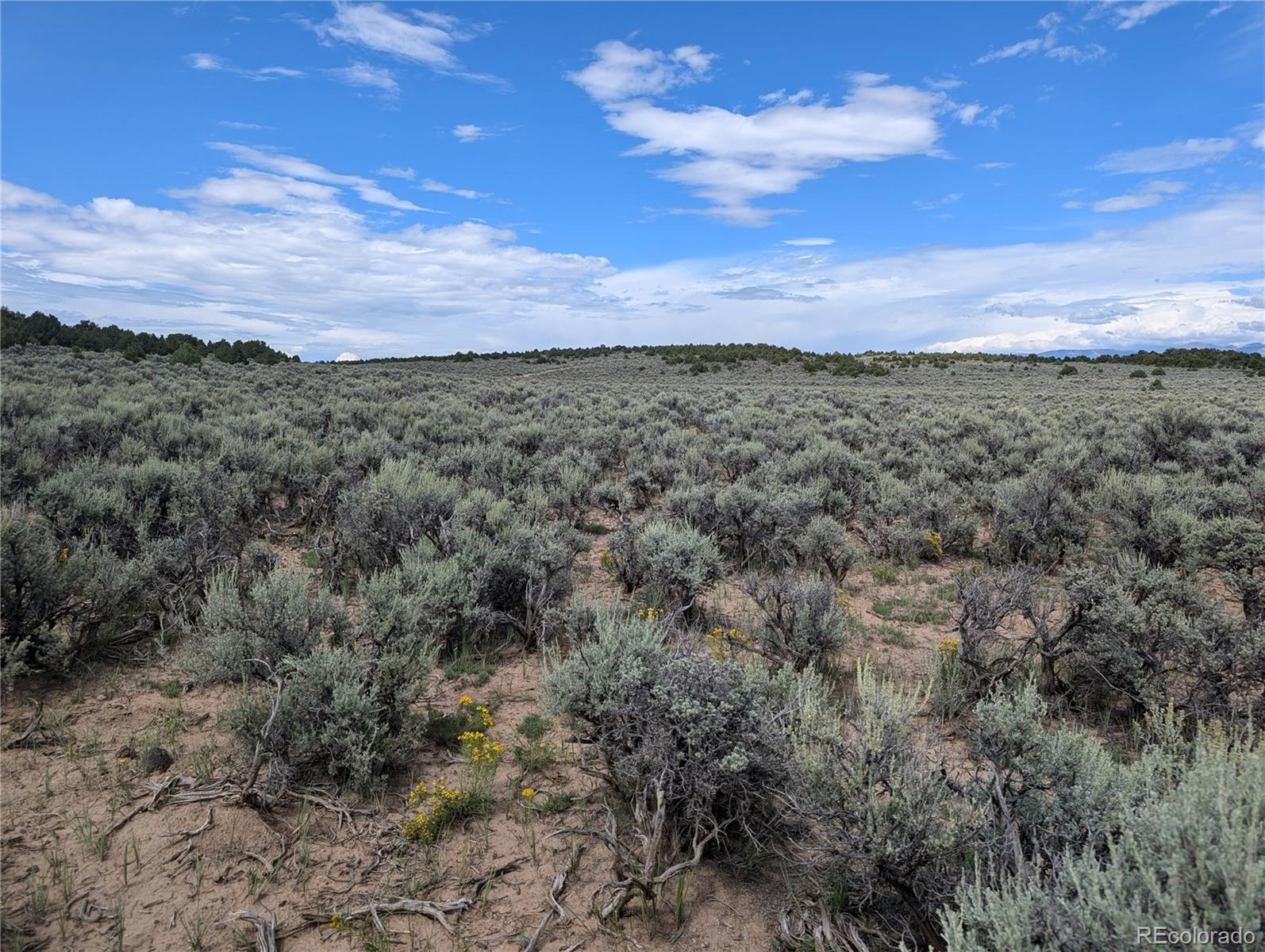 Lot 18 Arroyo Road, San Luis, CO 81152, ,Land,For Sale,Arroyo,REC6339068