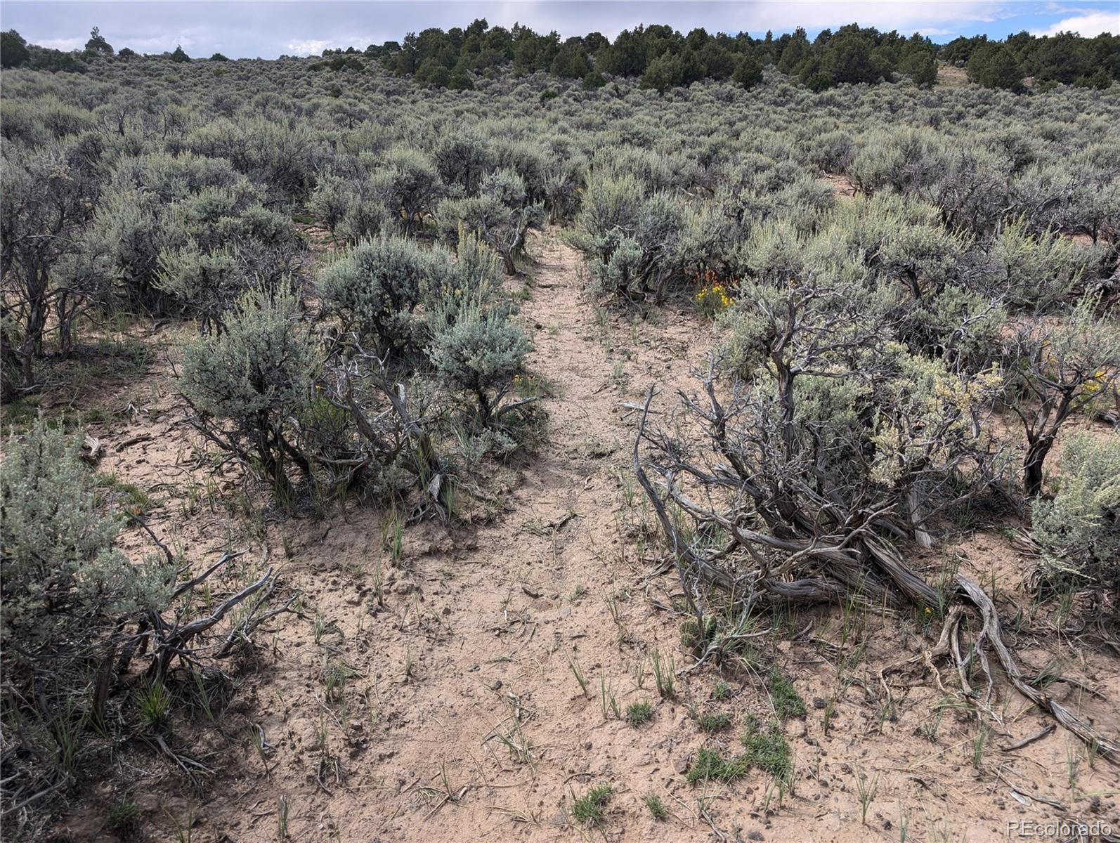 Lot 18 Arroyo Road, San Luis, CO 81152, ,Land,For Sale,Arroyo,REC6339068