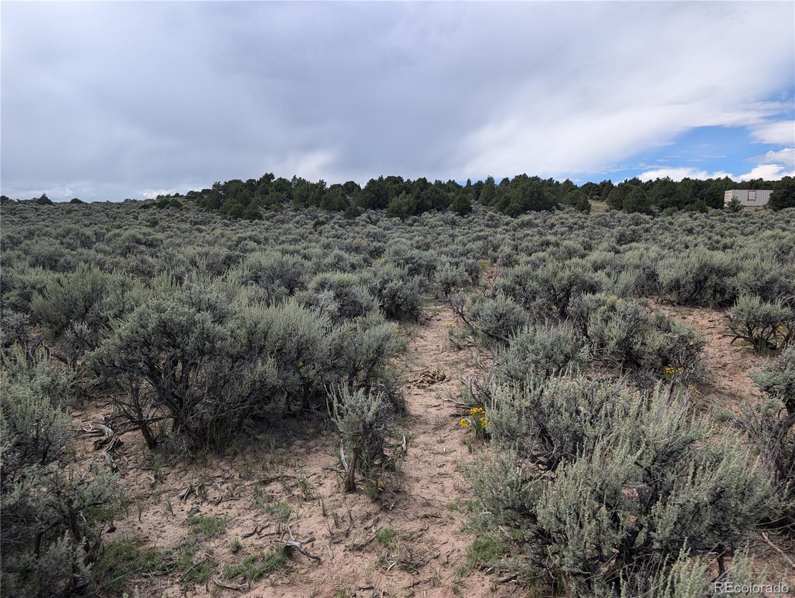 Lot 18 Arroyo Road, San Luis, CO 81152, ,Land,For Sale,Arroyo,REC6339068