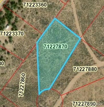 Lot 18 Arroyo Road, San Luis, CO 81152, ,Land,For Sale,Arroyo,REC6339068