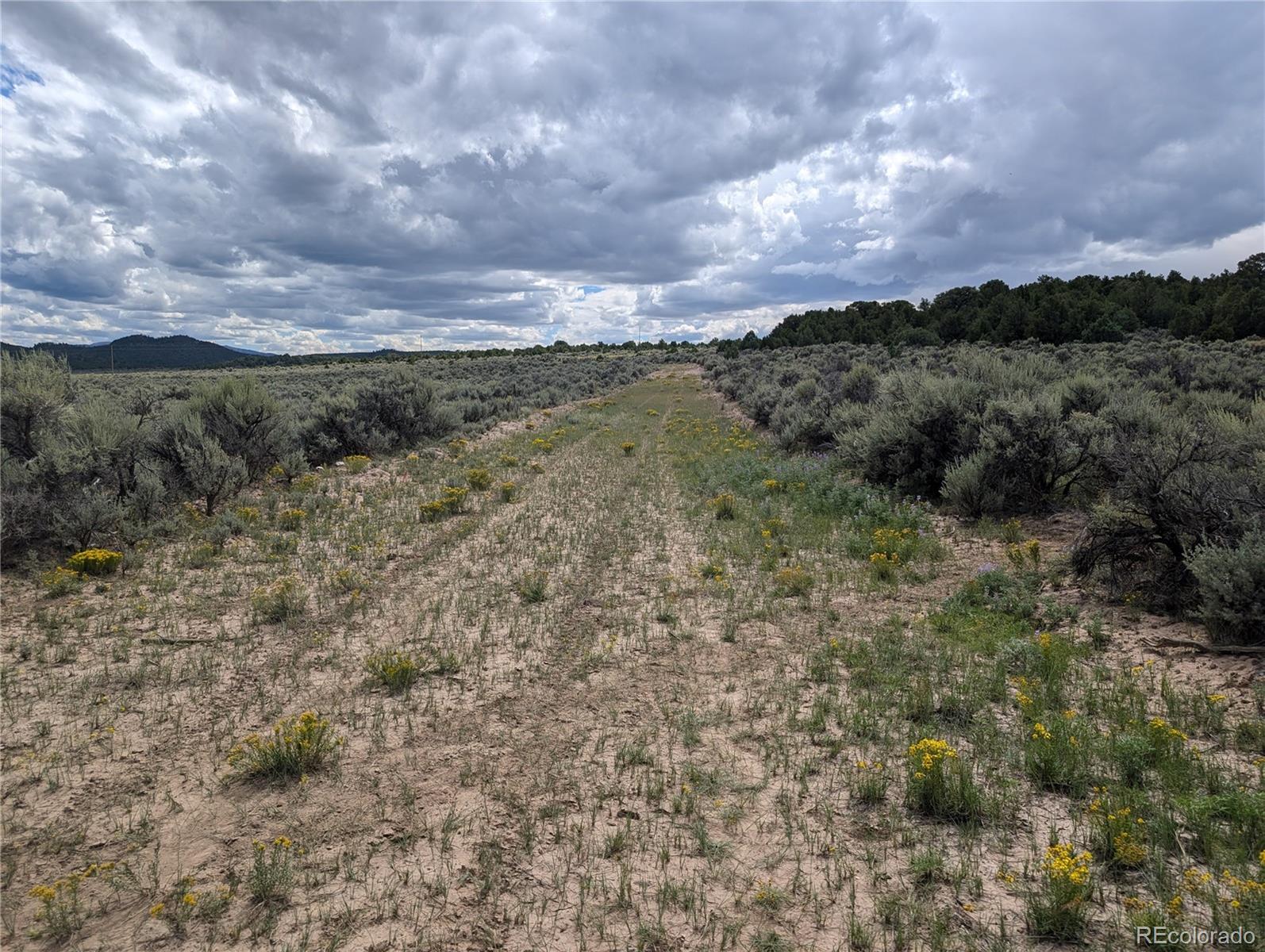 Lot 18 Arroyo Road, San Luis, CO 81152, ,Land,For Sale,Arroyo,REC6339068