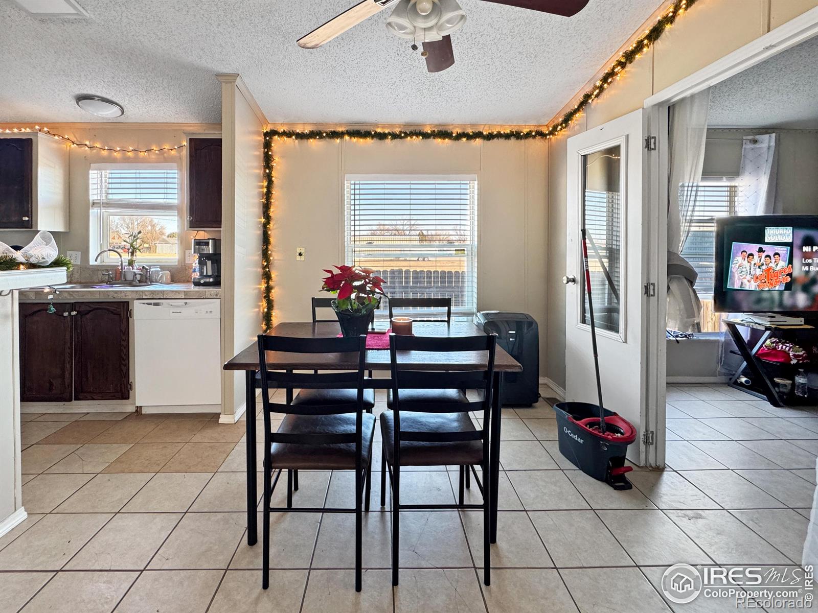 1008 Phelps Street, Sterling, CO 80751, ,Income,For Sale,Phelps,RECIR1023489